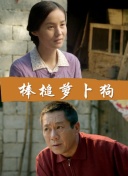 《梦幻奇境》：梦幻冒险带来的全新体验